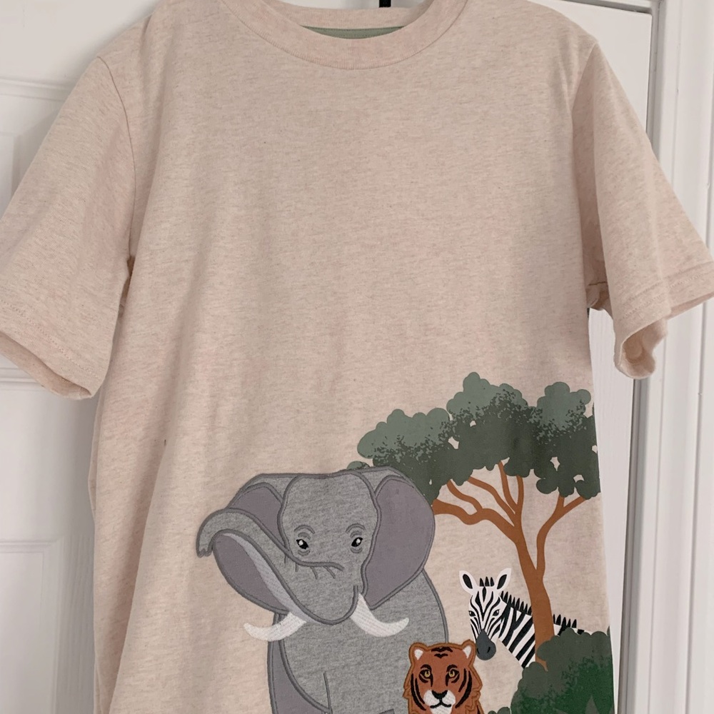 Summer Safari